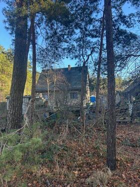 Foto - Einfamilienhaus in Senftenberg zum Kaufen