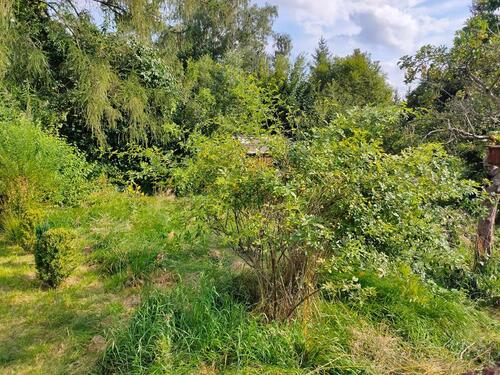 Foto - Grundst&uuml;ck zur Miete in Oederan