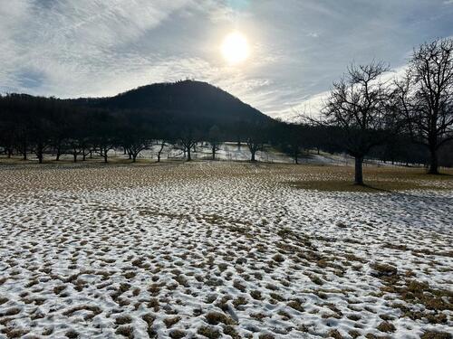 Foto - Grundstück mit BURGBLICK Beuren Balzholz Garten Freizeit Wiese