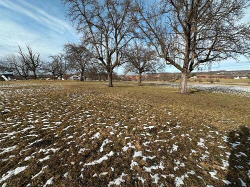 Foto - Grundst&uuml;ck in Beuren