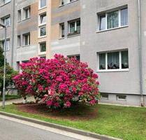 Hübsche Wohnung in ruhiger Seitenstraße - Hermsdorf