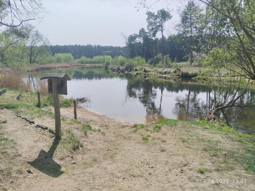 Foto - Einfamilienhaus zum Kaufen in Erkner