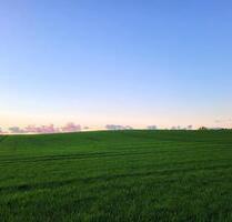 Erstbezug mit Aufzug und EBK in Tessin!