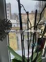 Foto - 2 Zimmer Etagenwohnung zur Miete in Berlin