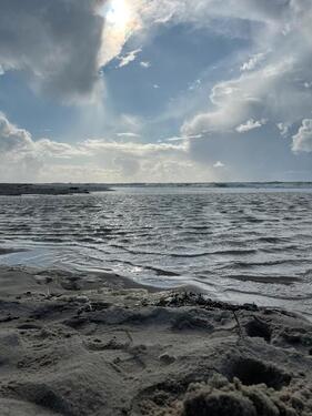 Foto - andere in Wenningstedt-Braderup (Sylt) zur Miete