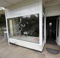 Ruhige Büro-Praxisfläche in Nienstedten! - Hamburg Altona