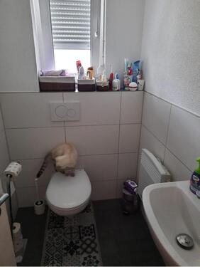 Foto - 