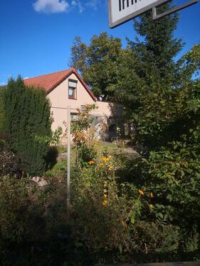 Foto - Doppelhaushälfte zum Kaufen in Berlin