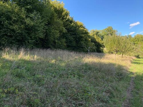 Foto - Streuobstwiese - 150,00&nbsp;EUR Kaltmiete, ca.&nbsp; 0,00&nbsp;m&sup2;