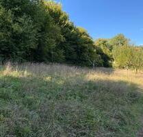 Streuobstwiese - 150,00&nbsp;EUR Kaltmiete, ca.&nbsp; 0,00&nbsp;m&sup2; in Meckesheim (PLZ: 74909)