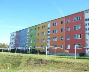 4-Raum-Wohnung in Zeulenroda-West - Zeulenroda-Triebes