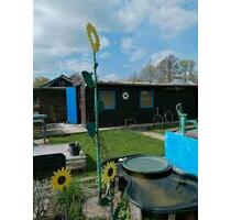 Schrebergarten Coburg Nord 200m2