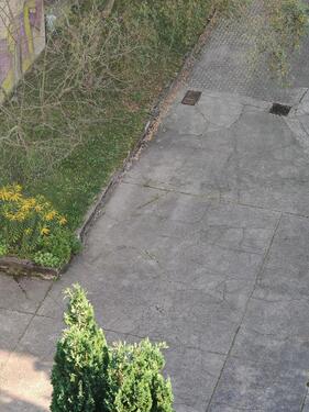 Foto - privater Stellplatz im Kissingenviertel