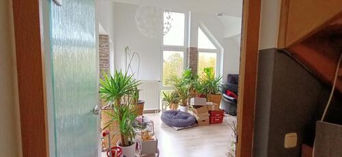 Foto - Etagenwohnung in Dingelstädt