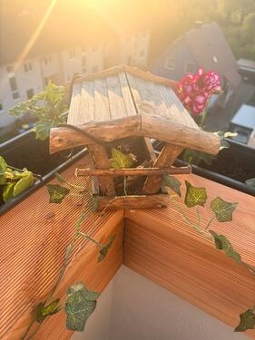Foto - 
