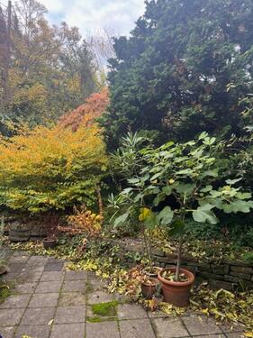 Foto - ruhige 3 Zimmer EG-Wohnung mit kleiner Terrasse in der Stadtmitte