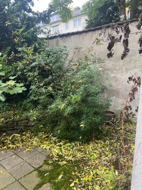 Foto - 2 Zimmer Etagenwohnung in Krefeld