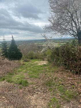 Foto - Gartengrundstück - 85,00&nbsp;EUR Kaltmiete, ca.&nbsp; 0,00&nbsp;m&sup2;