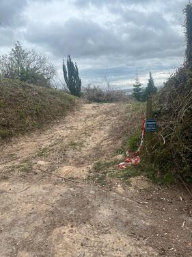 Foto - Grundst&uuml;ck zur Miete in Hemsbach