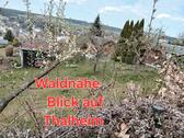 Foto - Gartenland, kein Pachtland - 2.900,00&nbsp;EUR Kaltmiete, ca.&nbsp; 0,00&nbsp;m&sup2;