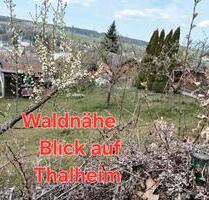 Gartenland, kein Pachtland - 2.900,00&nbsp;EUR Kaltmiete, ca.&nbsp; 0,00&nbsp;m&sup2; in Zwönitz (PLZ: 08297)
