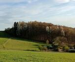 Foto - Bauernhaus, Landhaus in Wartenberg-Rohrbach zum Kaufen