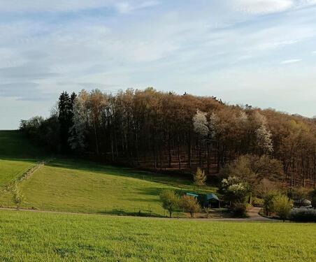 Foto - Bauernhaus, Landhaus in Wartenberg-Rohrbach zum Kaufen