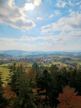 Foto - 