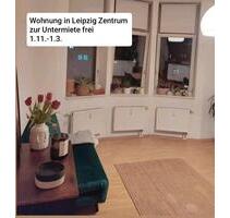 Wohnung zur Untermiete frei - 750,00 EUR Kaltmiete, in Leipzig (PLZ: 04109)