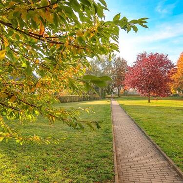 Foto - Etagenwohnung in Freiberg zur Miete