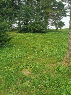 Foto - Grundst&uuml;ck in Stolpen