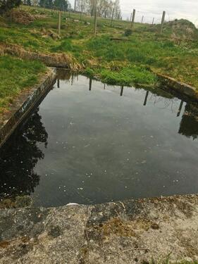 Foto - Grundst&uuml;ck in Stolpen zur Miete