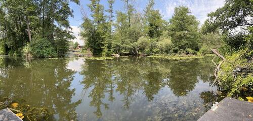 Foto - Wassergrundstück für Camping und Wohnmobil