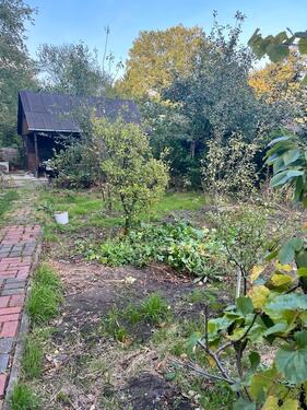 Foto - Pflegebedürftiger Garten abzugeben KGV Kleefeld