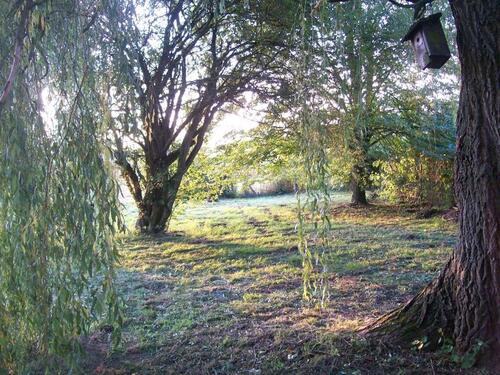 Foto - 1 Zimmer Etagenwohnung in Solms