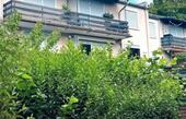 Foto - 3 Zimmer Wohnung in HG Ober-Erlenbach
