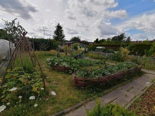 Foto - Kleingarten zu sofort abzugeben