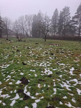 Foto - Grundst&uuml;ck zur Miete in Gartow