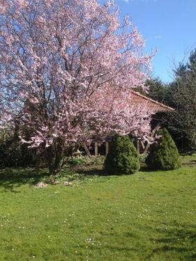 Foto - Schöne helle 3,5 DGWohnung auf alten Bauernhof