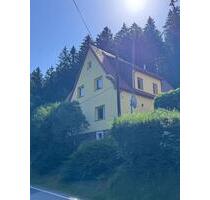 Exklusives Wohnambiente im Grünen: Kernsaniertes Einfamilienhaus - Hartmannsdorf-Reichenau