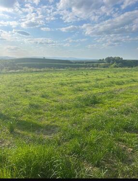 Foto - Verpachtung Freizeitgrundstück oberhalb vom Erleweiher