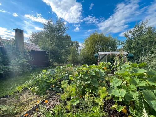 Foto - 