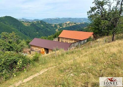Foto - Haus mit 8 Hektar Land in Rumänien, Kreis Alba