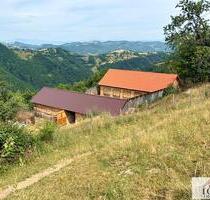 Haus mit 8 Hektar Land in Rumänien, Kreis Alba - München Neuhausen-Nymphenburg