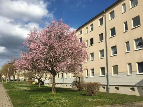 Foto - EINFACH EINZIEHEN - 326,00&nbsp;EUR Kaltmiete, ca.&nbsp; 59,18&nbsp;m&sup2;