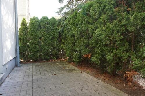 Foto - 3 Zimmer Erdgeschoßwohnung in Zwickau