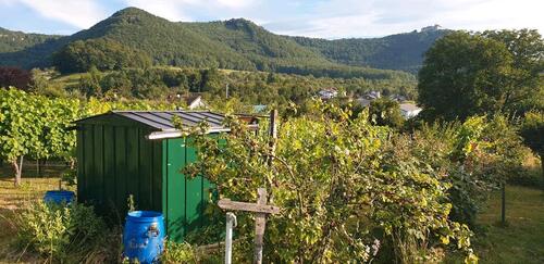 Foto - Grundst&uuml;ck in Frickenhausen zur Miete