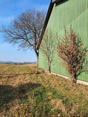 Foto - Hallenstellplatz LKW Boot Wohnmobil Saisonlager