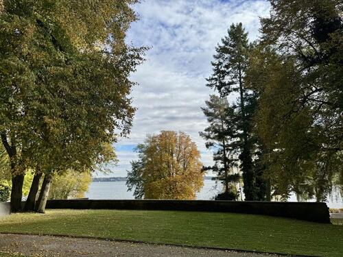 Foto - Attraktive Gewerbeeinheit in moderner Villa – ruhiges Arbeiten im Grünen