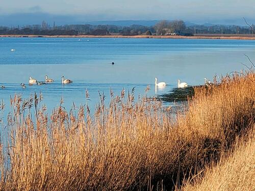 Foto - andere zur Miete in Gingst
